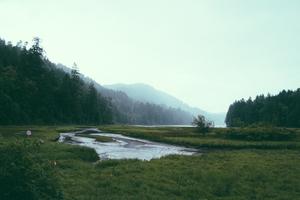 Stream passing through a wooded mountain